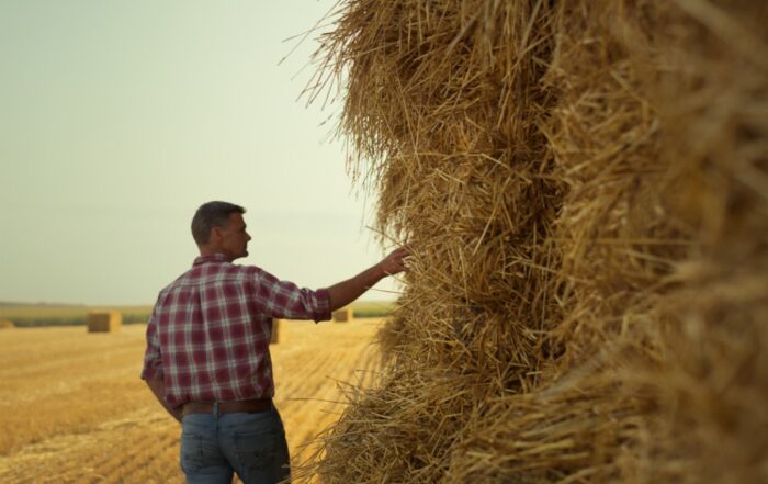 Agronomist checking hay bales at rural field