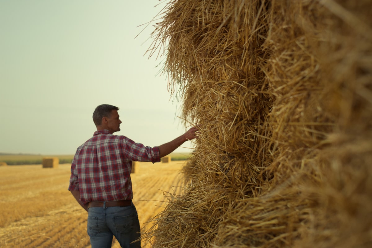 Agronomist checking hay bales at rural field